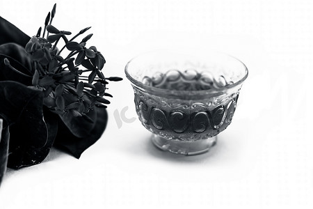 红色五角花或埃及星花或茉莉花的特写，在白色上隔离，其提取的草药和药用茶放在一个小透明玻璃碗中。