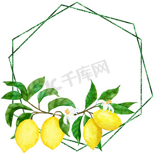 手绘树叶手绘树叶摄影照片_水彩手绘框架海报与黄色柠檬和绿叶。