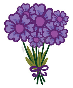 紫色花束，插图，白色背景上的矢量