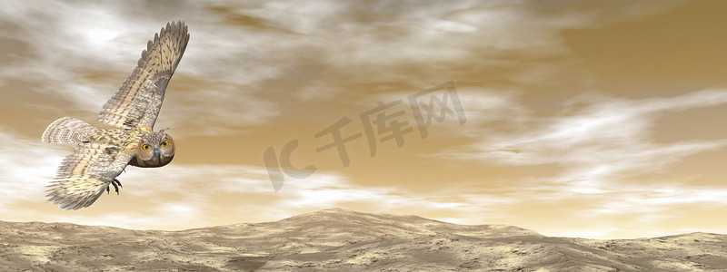 云条形摄影照片_棕色猫头鹰- 3D渲染