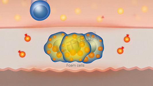 脂肪细胞和巨噬细胞，脂肪细胞领域，脂肪细胞的高质量 3D 渲染，细胞中的胆固醇