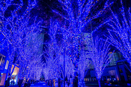 横滨港未来的圣诞灯饰