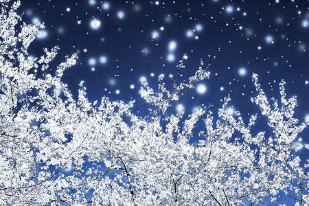 花花促销摄影照片_圣诞节、新年蓝色花卉背景、节日贺卡设计、花树和雪花作为豪华美容品牌的冬季促销背景