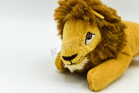 马玩具摄影照片_白色背景上孤立的狮子毛绒玩具泰迪熊