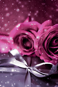 豪华假日银礼盒和粉红玫瑰作为圣诞节、情人节或生日礼物