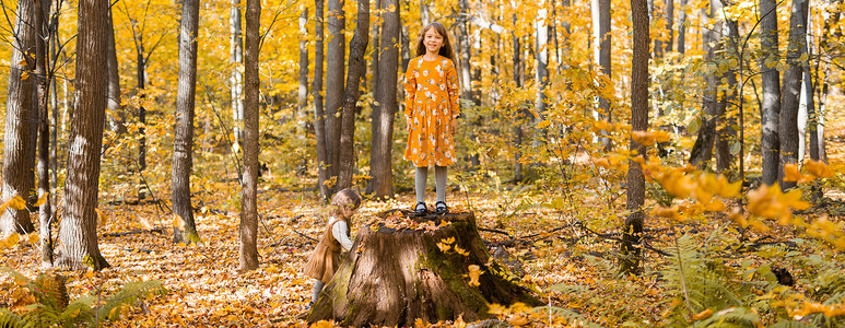 秋横幅摄影照片_在公园复制空间里用秋橙叶横幅小女孩。