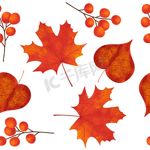 手绘无缝图案与秋季秋叶叶浆果、枫橡橡子。