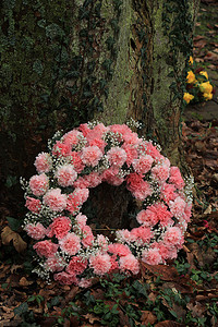粉红色的同情或葬礼鲜花