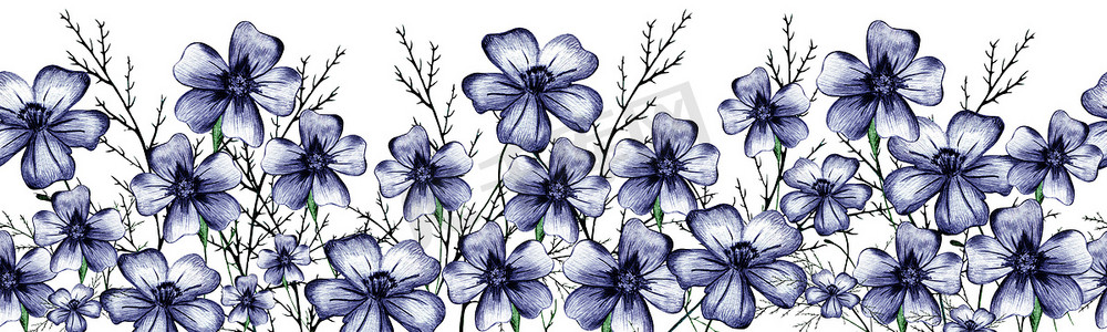蓝色花卉边框摄影照片_七彩花无缝边框。