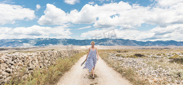 夏日穿着夏装的白人年轻女性手捧薰衣草花束，夏季在帕格岛上穿过干燥多岩石的地中海克罗地亚海岸景观时在户外散步