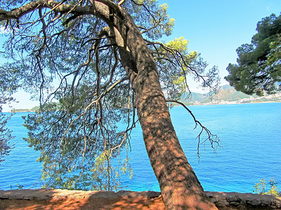 在黑山 Sveti Stefan 附近的松树环绕下，蓝色的亚得亚海和群山的壮丽景观尽收眼底