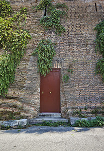 老墙上的一扇红门，有植物