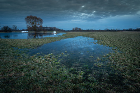 波兰诺维尼，多云的夜晚，草地上有春天的水坑