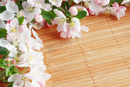 春天竹子背景摄影照片_竹子背景下的樱花春花框架。