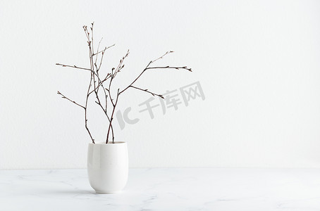 白花瓶摄影照片_白色花瓶里的树枝