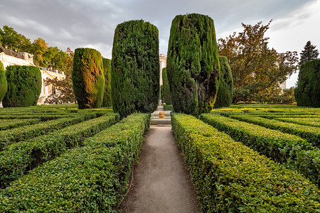 西班牙马德里皇宫附近花园中的柏树和灌木