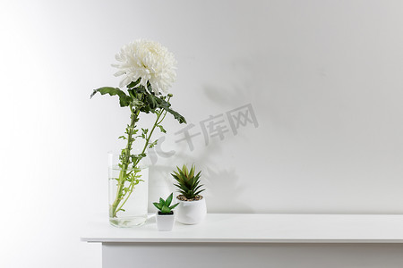 大白背景摄影照片_玻璃透明花瓶中的大白菊花和桌上的两株人造多肉植物