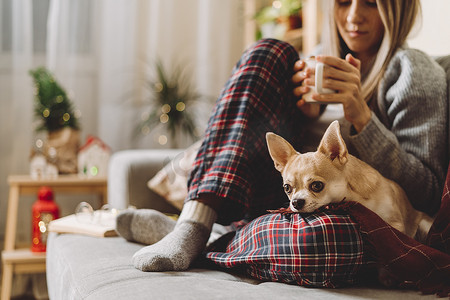 圣诞节假期在家里的沙发上休息时，穿着针织冬季保暖袜子和毛衣、睡着的狗和方格格子的舒适女人拿着一杯热可可或咖啡。