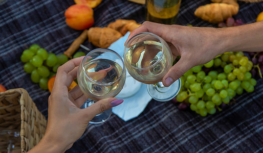 朋友野餐摄影照片_人们朋友在野餐时喝葡萄酒。