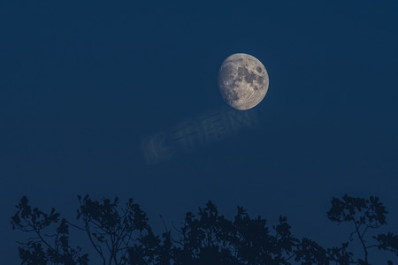 月亮在黑暗的夜空中被隔绝，没有可见的星星