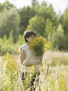 女人正在秋天的田野上采摘一枝黄花，通常称为黄花。