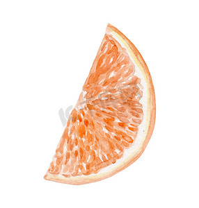 手绘橙色水果摄影照片_孤立在白色背景上的水彩橙色水果切片