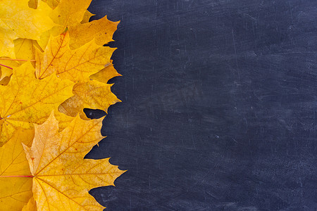 文本框橙色摄影照片_黑色背景上的秋叶框顶视图秋天边界黄色和橙色叶子复古结构表复制文本空间。