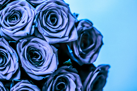 蓝色花束摄影照片_蓝色玫瑰的魅力豪华花束，鲜花盛开作为花卉节日背景