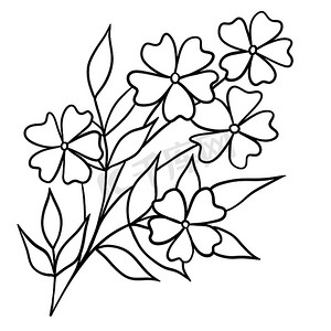 分支手绘摄影照片_手绘的花朵插图以黑线轮廓留下分支。