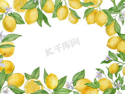 柠檬水果与叶子和花朵水彩长方形框架。