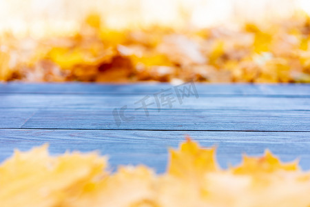 本子样机摄影照片_空木桌自然散景背景与秋黄色枫叶寄宿生模板模型用于展示产品复制空间