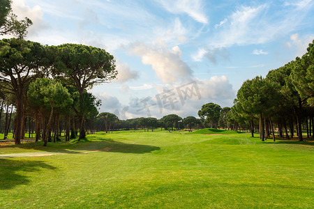 课程摄影照片_阳光明媚的日子里，可以欣赏到美丽的高尔夫球场和松树的全景。