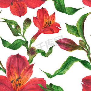 花卉水彩无缝图案与红色 alstroemeria