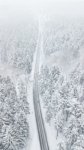 深冬风暴中穿过雪覆盖的白色森林的道路，街上有汽车