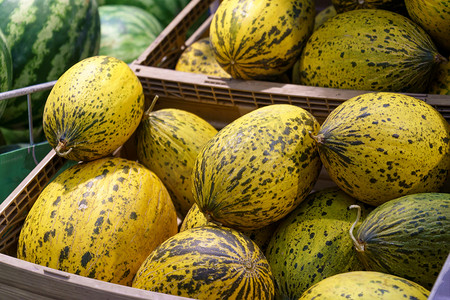 在大型超市 Summer Fruits 出售瓜类。