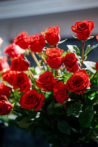 花店里的红玫瑰。花店里的花。