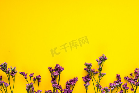 桌面背景粉摄影照片_在黄色背景的夏天干花。