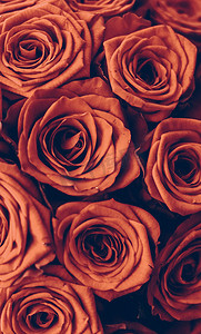 复古奢华的橙色玫瑰花束，鲜花盛开，作为花卉假日背景