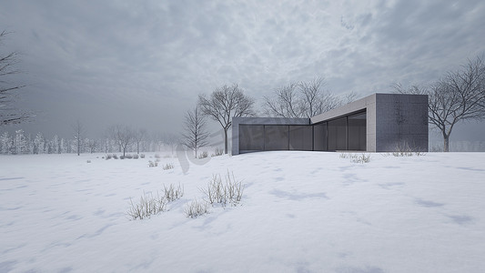 冬季现代住宅的 3D 渲染图