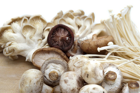 各种食用新鲜蘑菇
