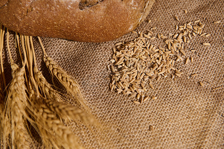 有选择地关注小麦金色小穗旁边的燕麦粒以及粗麻布桌布上酵母面包的部分视图
