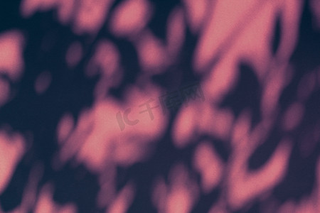阴影覆盖摄影照片_抽象艺术、植物阴影覆盖在粉红色背景上，用于假日奢华和复古平面设计