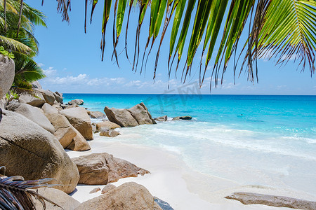 普拉兰塞舌尔热带岛屿，拥有海滩和棕榈树，Anse Lazio 海滩，棕榈树矗立在塞舌尔 Anse Lazio 荒凉的热带岛屿梦幻海滩上