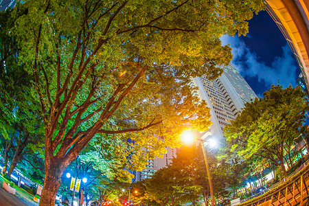 东京新宿高层建筑群夜景