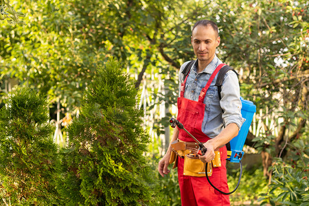 园丁用喷雾器给他的崖柏施用杀虫剂肥料。