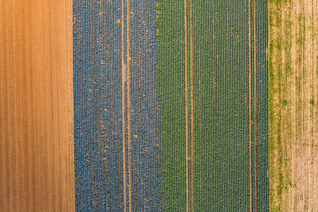 秋天的田野摄影照片_从空中看，对称的田野和耕地呈现出棕色、绿色和蓝色的图案