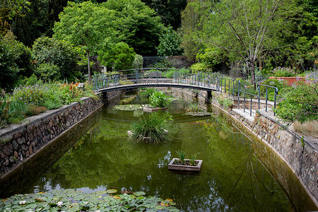 法式花园摄影照片_面对浪漫的法式花园