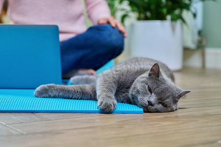 女人坐在家里的瑜伽垫上，摆着莲花姿势，带着笔记本电脑和猫