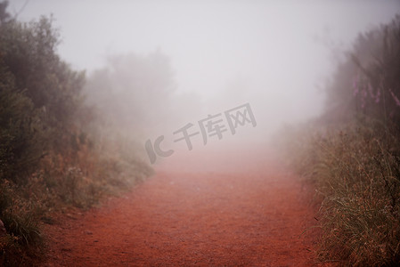 通往……雾蒙蒙的早晨跑步小道的风景照片。