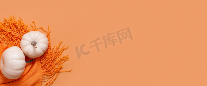 橙色围巾顶视图上白色南瓜的秋季横幅，带有复制空间。